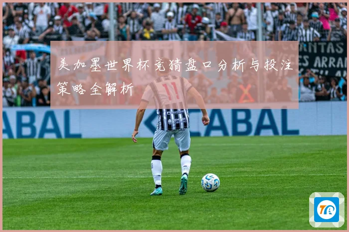 美加墨世界杯竞猜盘口分析与投注策略全解析
