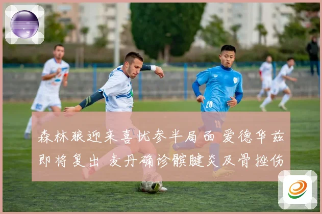 森林狼迎来喜忧参半局面 爱德华兹即将复出 麦丹确诊髌腱炎及骨挫伤