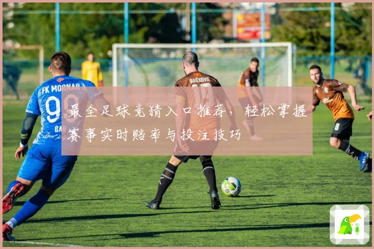 最全足球竞猜入口推荐，轻松掌握赛事实时赔率与投注技巧