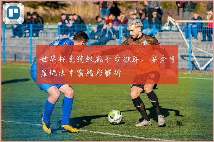 世界杯竞猜权威平台推荐，安全可靠玩法丰富精彩解析