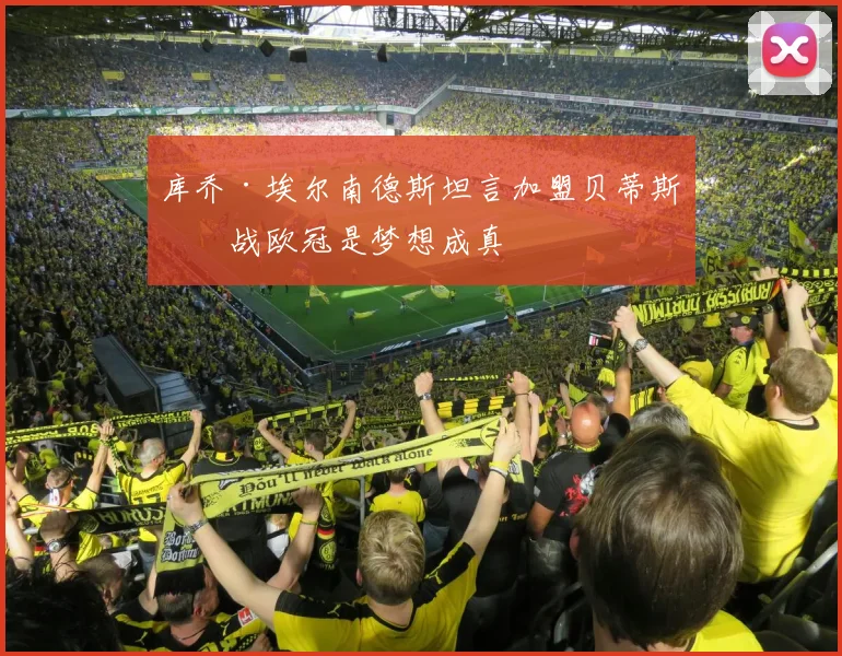库乔·埃尔南德斯坦言加盟贝蒂斯征战欧冠是梦想成真